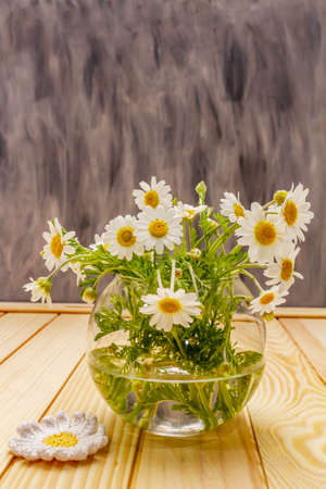 Bouquet of chamomile. Fresh flowers, crochet pattern. Alternative medicine, lifestyle.Wooden boards background, cardの写真素材