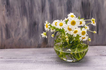 Bouquet of chamomile. Fresh flowers, crochet pattern. Alternative medicine, lifestyle.Wooden boards background, cardの写真素材