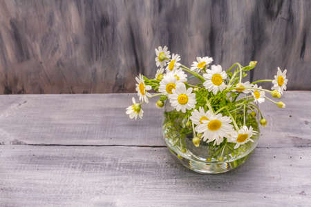 Bouquet of chamomile. Fresh flowers, crochet pattern. Alternative medicine, lifestyle.Wooden boards background, cardの写真素材