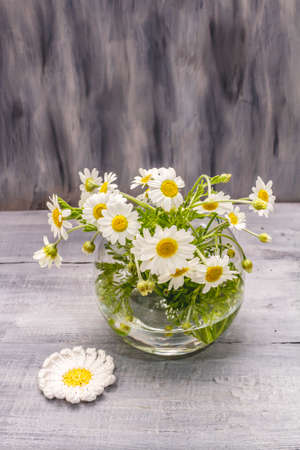 Bouquet of chamomile. Fresh flowers, crochet pattern. Alternative medicine, lifestyle.Wooden boards background, cardの写真素材