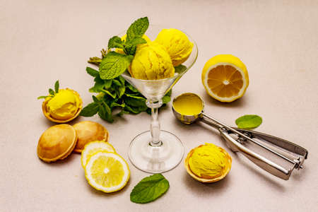 Lemon ice cream with mint. Refreshing summer dessert, ripe fruit, fragrant leaves. Stone concrete background, close upの写真素材
