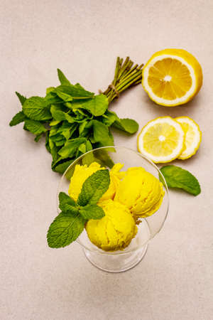 Lemon ice cream with mint. Refreshing summer dessert, ripe fruit, fragrant leaves. Stone concrete background, top viewの写真素材