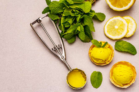 Lemon ice cream with mint. Refreshing summer dessert, ripe fruit, fragrant leaves. Stone concrete background, copy spaceの写真素材