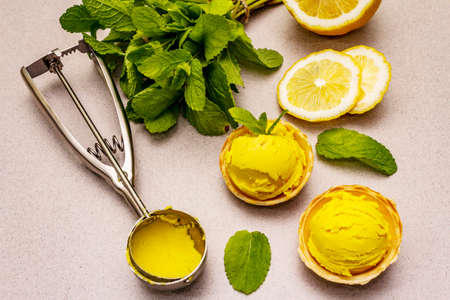 Lemon ice cream with mint. Refreshing summer dessert, ripe fruit, fragrant leaves. Stone concrete background, close upの写真素材