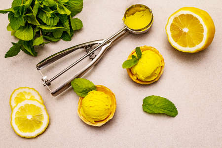 Lemon ice cream with mint. Refreshing summer dessert, ripe fruit, fragrant leaves. Stone concrete background, top viewの写真素材