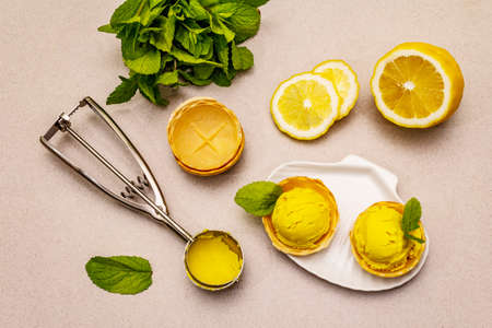 Lemon ice cream with mint. Refreshing summer dessert, ripe fruit, fragrant leaves. Stone concrete background, top viewの写真素材