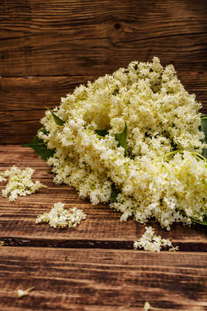 Fragrant bouquet of fresh elder flowers. Old wooden boards background