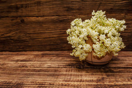 Fragrant bouquet of fresh elder flowers. Old wooden boards backgroundの写真素材