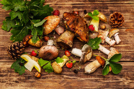 Fresh forest mushrooms. Assorted porcini, boletus, russula, blusher, oak leaves, strawberries. Old wood plank background, top viewの写真素材