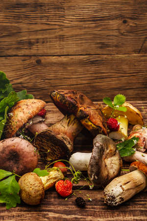 Fresh forest mushrooms. Assorted porcini, boletus, russula, blusher, oak leaves, strawberries. Old wood plank background, copy spaceの写真素材