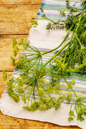 Fresh young dill, inflorescences and its greens. Traditional ingredient for cooking. Old wooden backgroundの写真素材