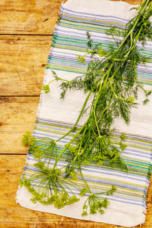 Fresh young dill, inflorescences and its greens. Traditional ingredient for cooking. Old wooden backgroundの写真素材