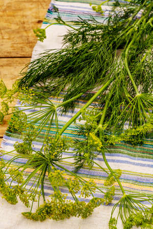 Fresh young dill, inflorescences and its greens. Traditional ingredient for cooking. Old wooden backgroundの写真素材