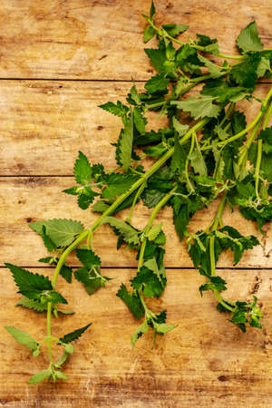 Fresh young Melissa, Balm mint. Traditional ingredient for cooking. Old wooden backgroundの写真素材