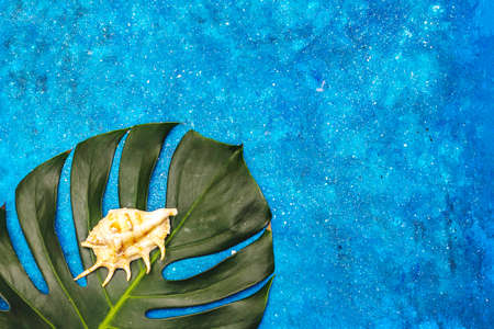 Travel and vacation concept. Summer 2020 background with monstera leaf, seashells and marine...