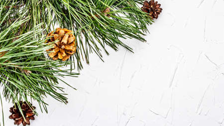 Christmas or New Year concept. Fresh pine branches and pine cones. White putty background, top view