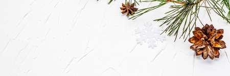 Christmas or New Year concept. Fresh pine branches and pine cones. White putty background, banner formatの写真素材