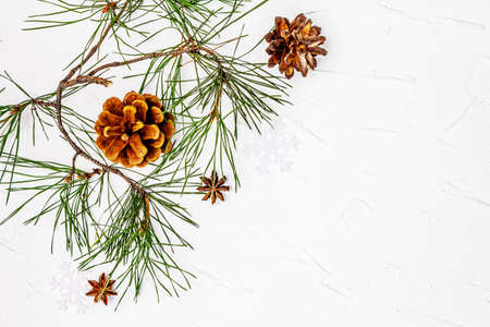 Christmas or New Year concept. Fresh pine branches and pine cones. White putty background, copy...