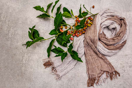 Soft scarf and a branch with berries. Autumn good mood, stone concrete background, top view