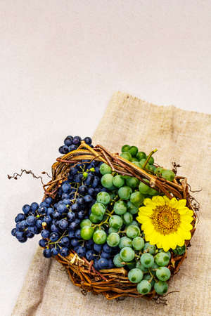 Ripe grapes in handmade basket. Assorted white and blue berries, bright sunflower. Linen napkin, stone concrete background, top viewの写真素材