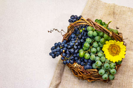 Ripe grapes in handmade basket. Assorted white and blue berries, bright sunflower. Linen napkin,...