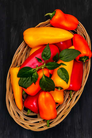 Assorted ripe multi-colored baby peppers: red, orange and yellow. Fresh harvest, juicy products for...