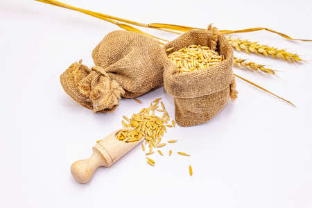 Whole unpeeled wheat grains isolated on white background. A traditional ingredient in healthy food preparation. Wooden scoop and handmade sacksの写真素材