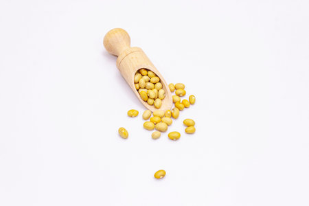 Dry mung beans isolated on white background. A traditional ingredient in healthy food preparation