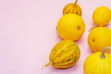 Autumn composition. Pumpkins on pastel pink background. Fall or halloween concept, flat lay, copy...
