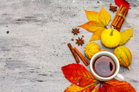 Hot tea with fall foliage, pumpkins, cinnamon sticks and star anise. Colorful autumn leaves for...