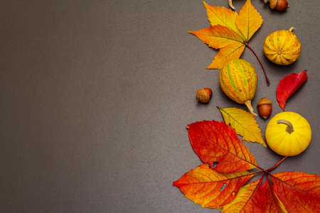 Autumn background with decorative pumpkins, fall leaves and acorns. Festive wallpaper, card or...