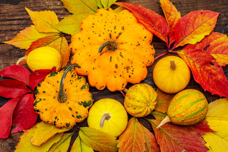 Autumn background with colorful leaves and ripe pumpkins. Festive wallpaper, card or border with...