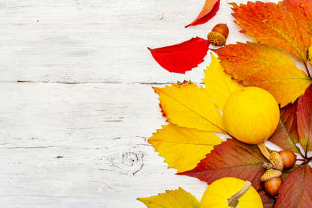 Colorful fall leaves with decorative pumpkins on white wooden boards. Festive autumn background,...