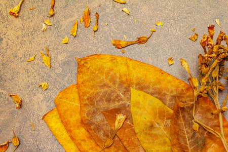 Rough dry tobacco leaves and flowers. High quality big leaf ready to be made cigarettes. Stone...