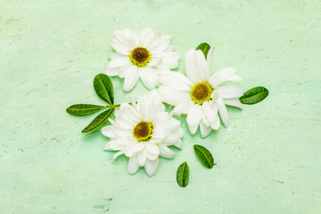 Fresh fragrant chrysanthemums with leaves. Valentine's day or Wedding romantic concept. Old wooden...