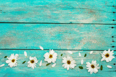 Pattern with frozen chrysanthemums and evergreen leaves. Trendy turquoise old wooden boards...