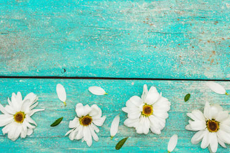 Pattern with frozen chrysanthemums and evergreen leaves. Trendy turquoise old wooden boards...