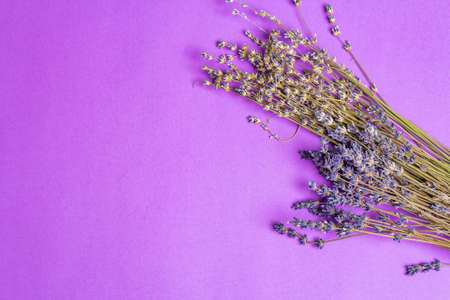 Bunch of dried lavender flowers on a lilac background. Fragrant flowers, indispensable ingredient, play for text, flat layの写真素材