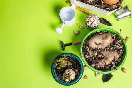 Spring planting and gardening concept. Tools, watering can, flowerpots, buckets, decorative stones....