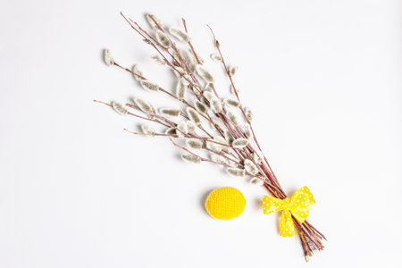 Sprig of willow isolated on white background. Willow seals, fluffy buds, crocheted egg. Happy Easter conceptの写真素材