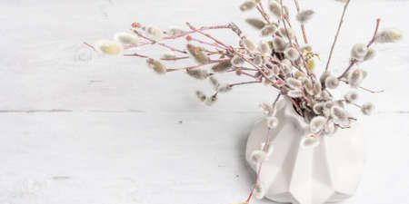 Sprig of willow on old white wooden boards background. Willow seals, fluffy buds, ceramic vase. Happy Easter concept, Bannerの写真素材