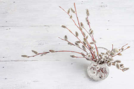 Sprig of willow on old white wooden boards background. Willow seals, fluffy buds, crystal vase. Happy Easter conceptの写真素材