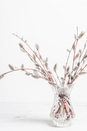 Sprig of willow on old white wooden boards background. Willow seals, fluffy buds, crystal vase. Happy Easter conceptの写真素材