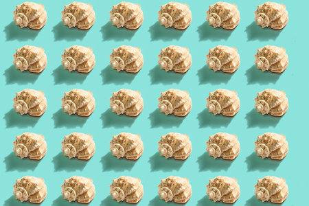 Seashells pattern on the turquoise background. Vacation concept, sea card. A trendy hard light, dark...