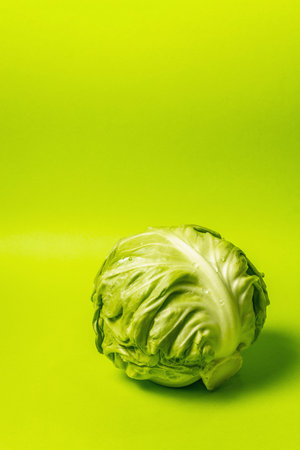 Fresh young cabbage, whole head in bright green background. Modern hard light, dark shadow....