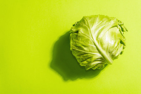 Fresh young cabbage, whole head in bright green background. Modern hard light, dark shadow. Vegetables for cutting spring salad. Vegan food, diet, vitaminsの写真素材