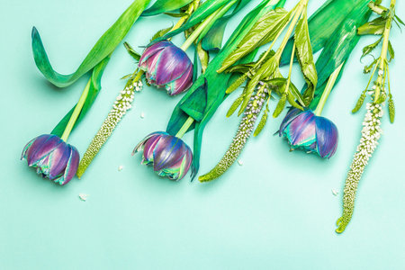 Unusual tulips in blue and purple tones. Fresh flowers, holiday gift concept. Pastel turquoise...