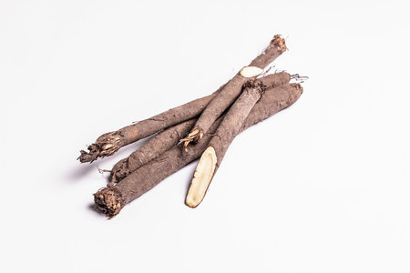 Raw Scorzonera or Spanish salsify isolated on white background. Very healthy vegetable, modern ingredient for a vegan or vegetarian diet. Contains many indispensable proteins, fats, and microelementsの写真素材