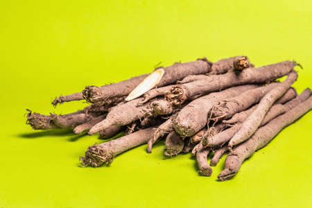 Crop of fresh unpeeled Scorzonera or Spanish salsify. Modern vegetables, healthy food, suitable for diabetics. Pastel green background, copy spaceの写真素材