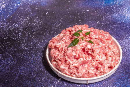 Minced meat in a ceramic stand. Raw pork, fresh herb leaves, spices, sea salt, and garlic. Modern hard light, dark shadow. Cosmic stone concrete background, copy spaceの写真素材